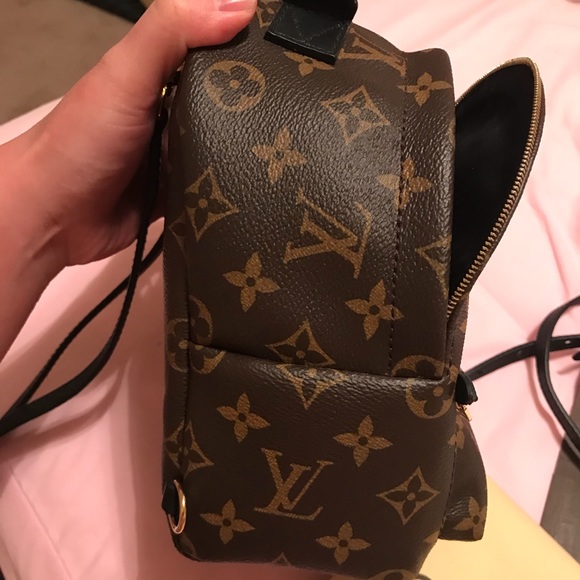 🚫SOLD🚫Louis Vuitton Mini Palm Spring Backpack - Picture 3 of 7